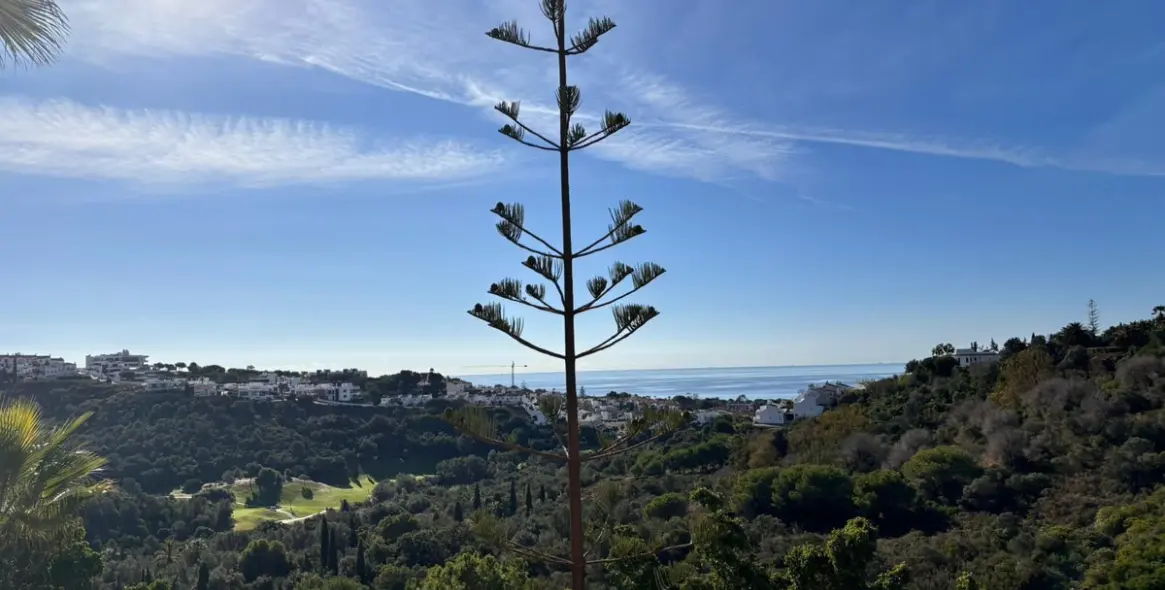 Продажа апартаментов на первом этаже в Reserva de Marbella 34