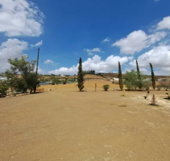 Sale of finca - cortijo in Coín