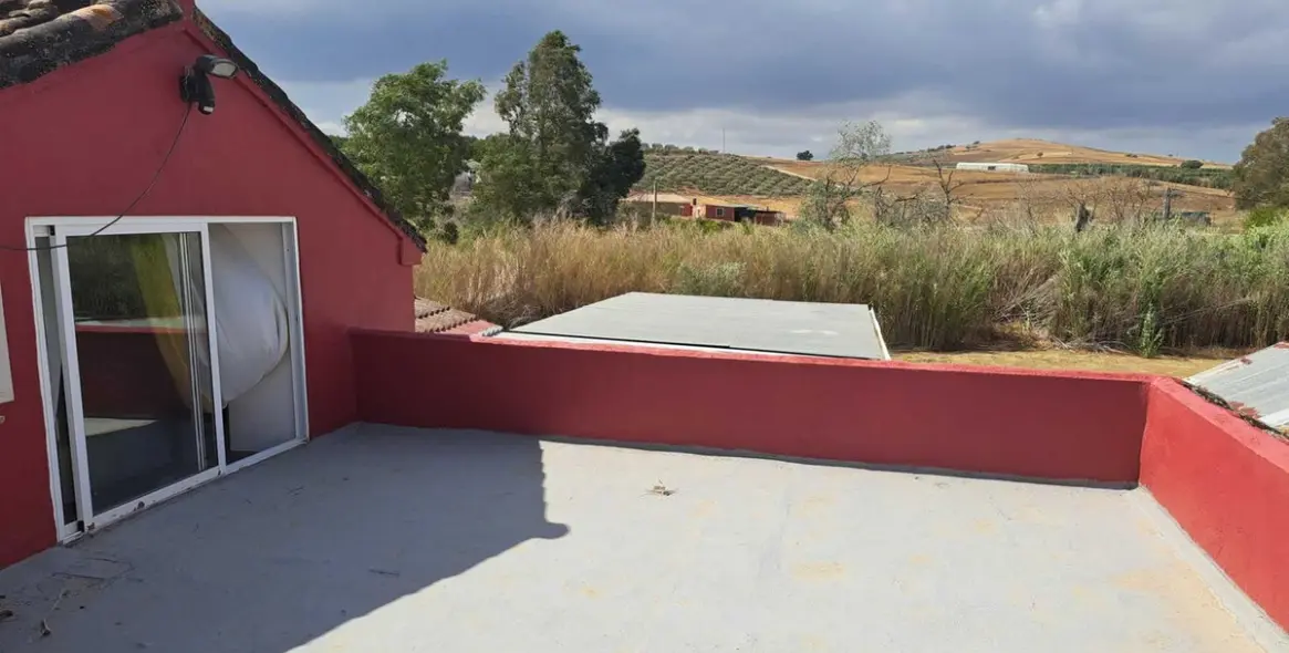 Venta de finca - cortijo en Coín 22