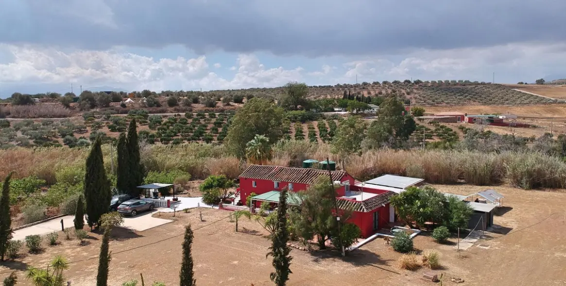 Venta de finca - cortijo en Coín 43