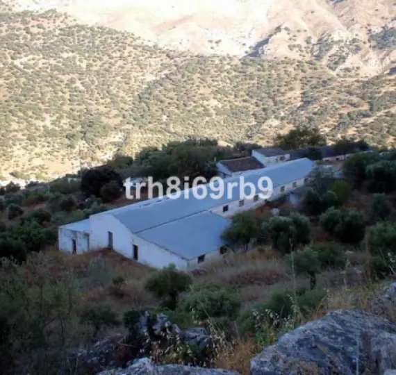 Продажа фермы в Ronda