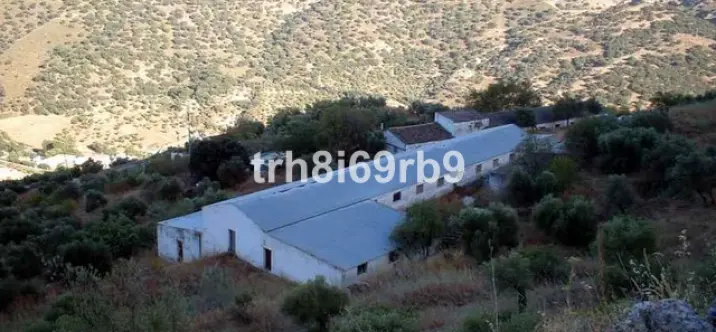 Продажа фермы в Ronda 0