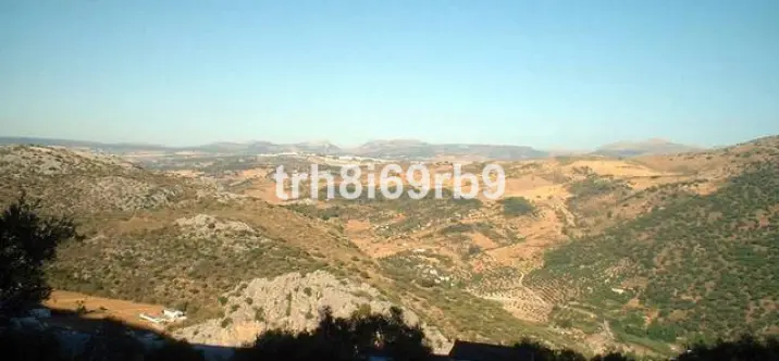 Продажа фермы в Ronda 1