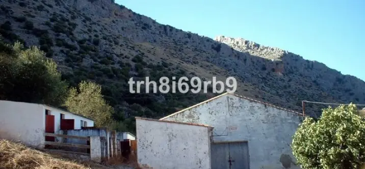 Продажа фермы в Ronda 2