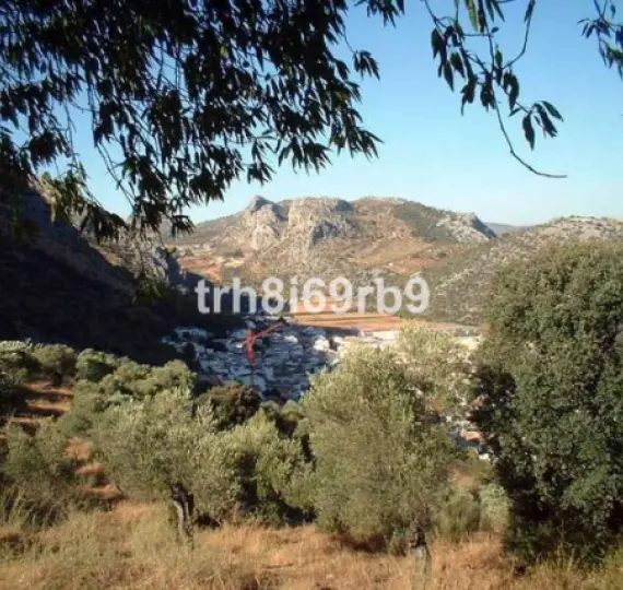 Продажа фермы в Ronda