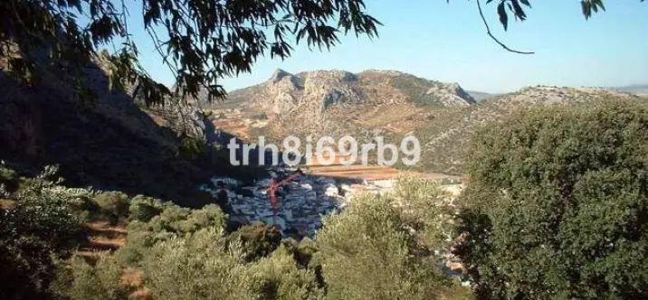 Продажа фермы в Ronda 4