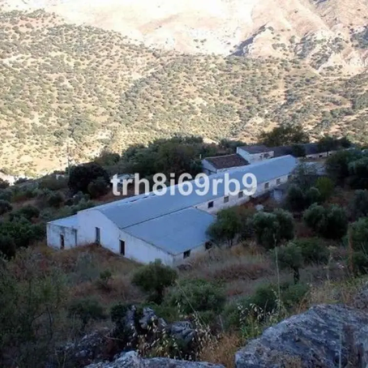 Sale of farm in Ronda
