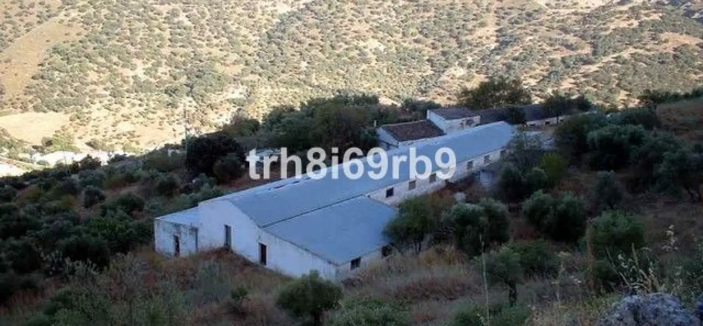 Sale of farm in Ronda 0