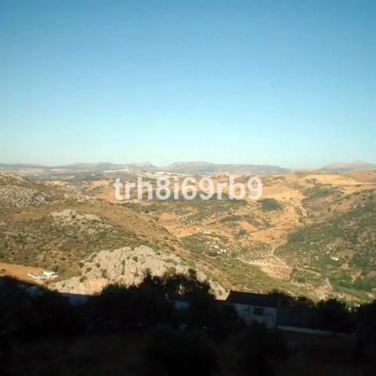 Sale of farm in Ronda