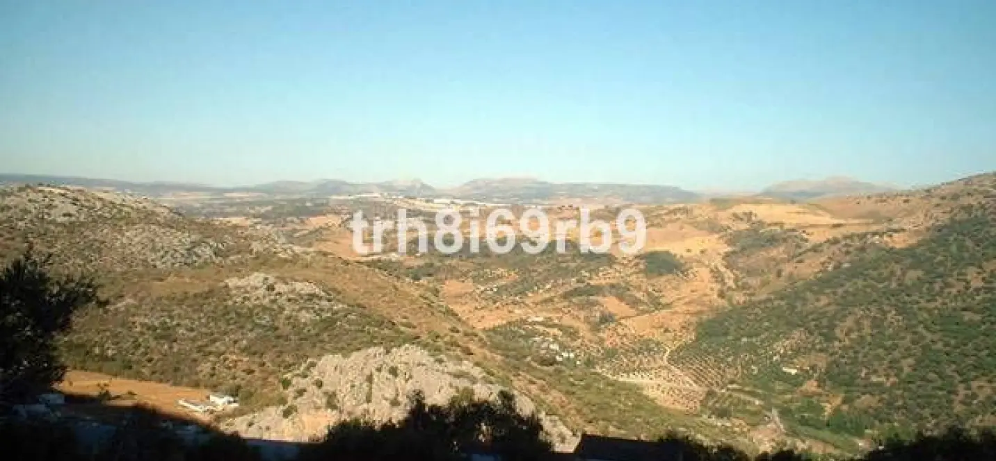Sale of farm in Ronda 1