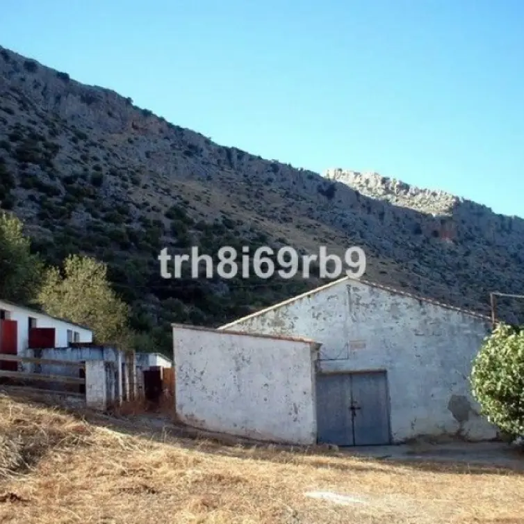 Sale of farm in Ronda