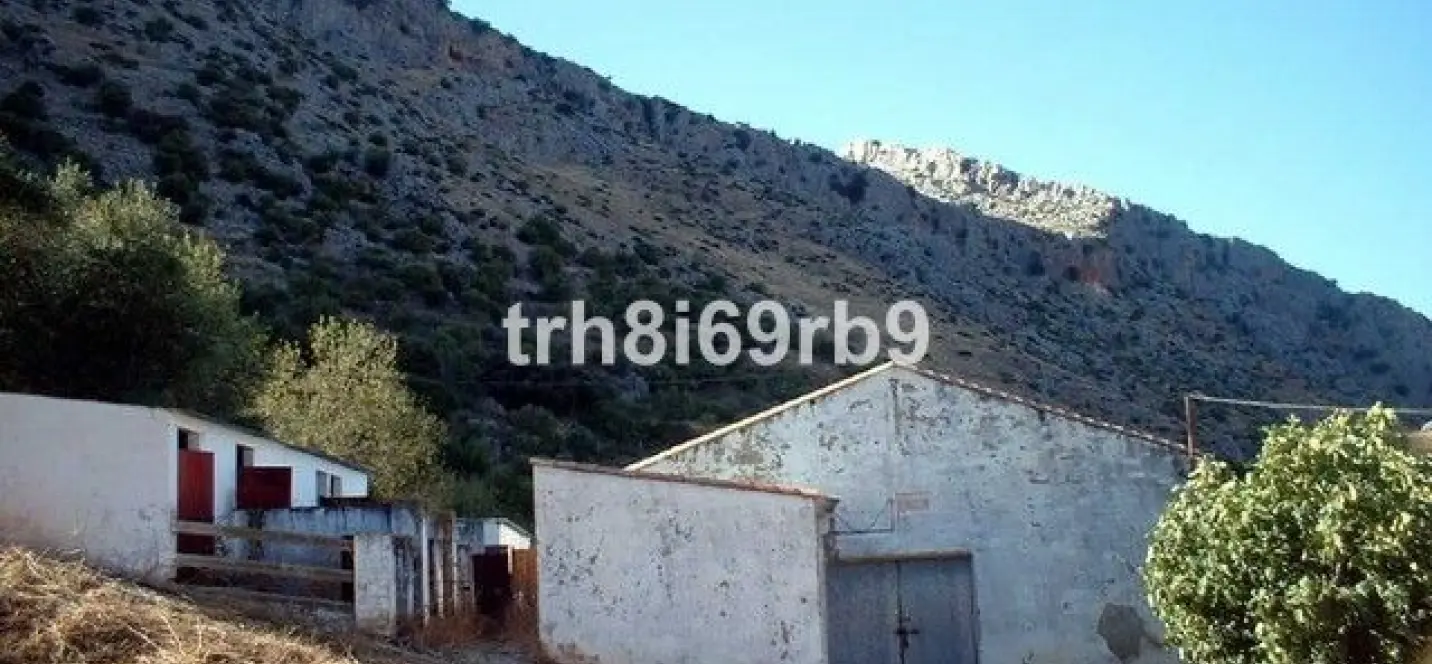 Sale of farm in Ronda 2