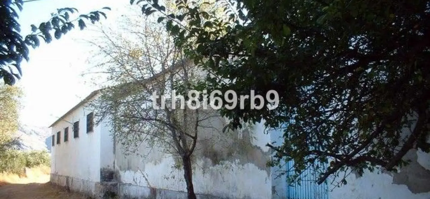 Sale of farm in Ronda 3