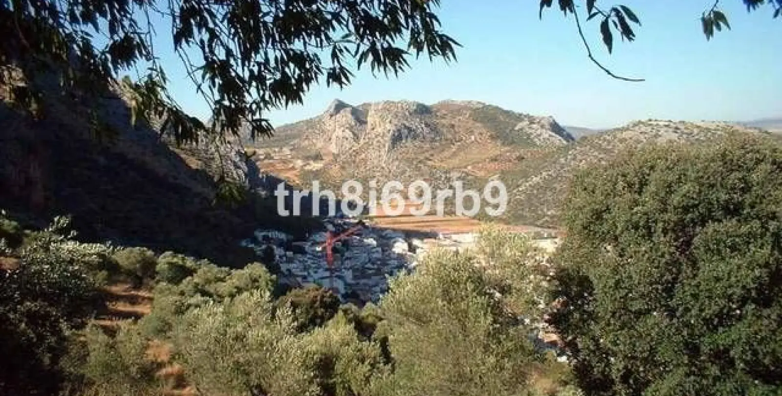 Venta de granja en Ronda 5