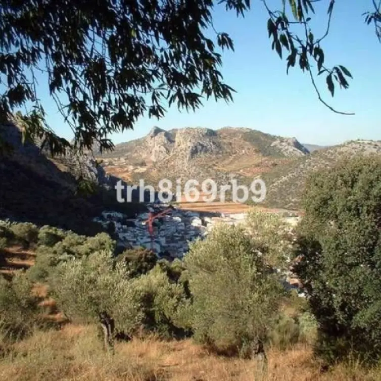 Sale of farm in Ronda