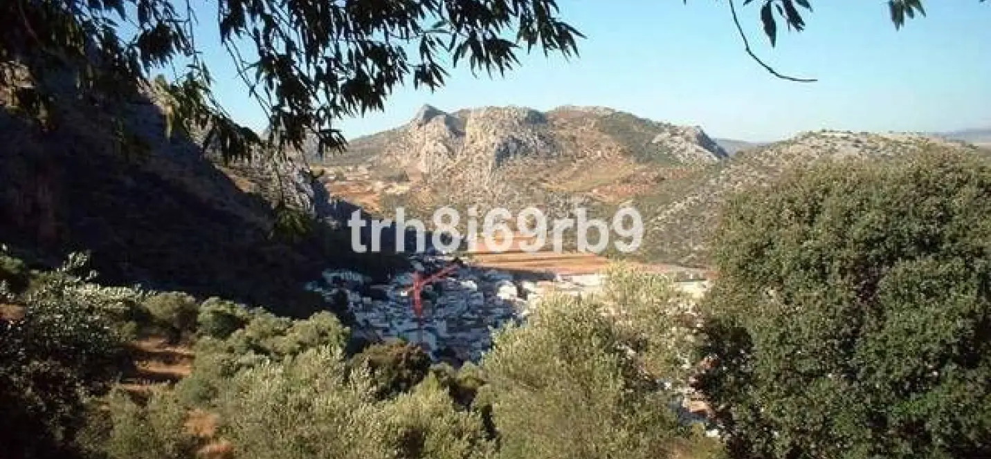 Sale of farm in Ronda 4
