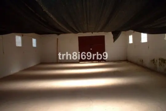 Image 6 thumb