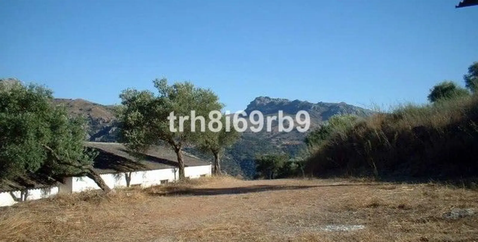 Venta de granja en Ronda 7