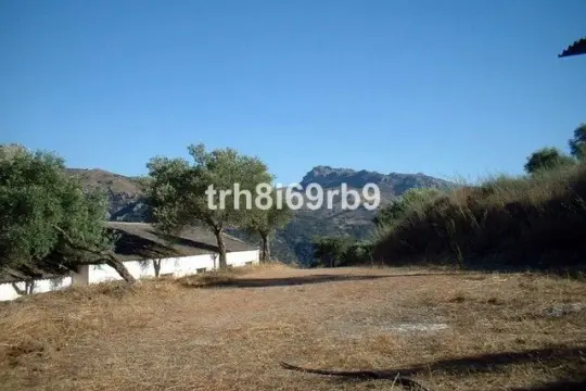 Image 7 thumb