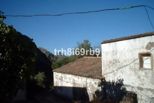 Image 8 thumb