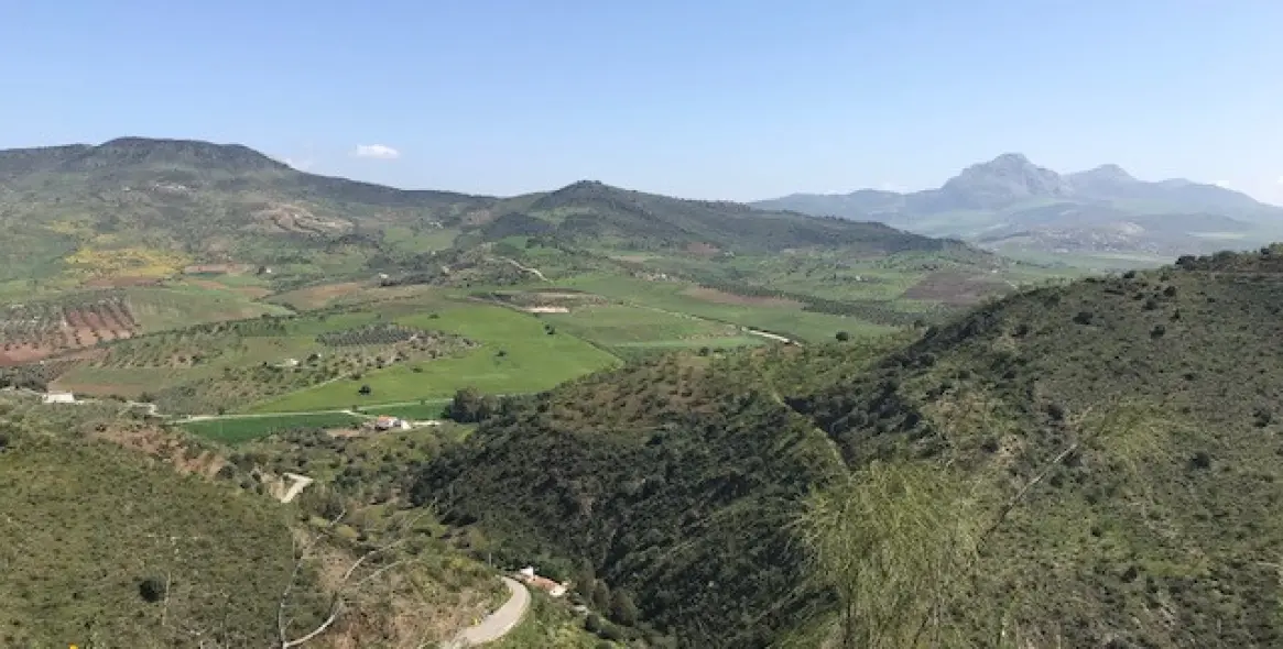 Sale of residential plot in Casabermeja 2