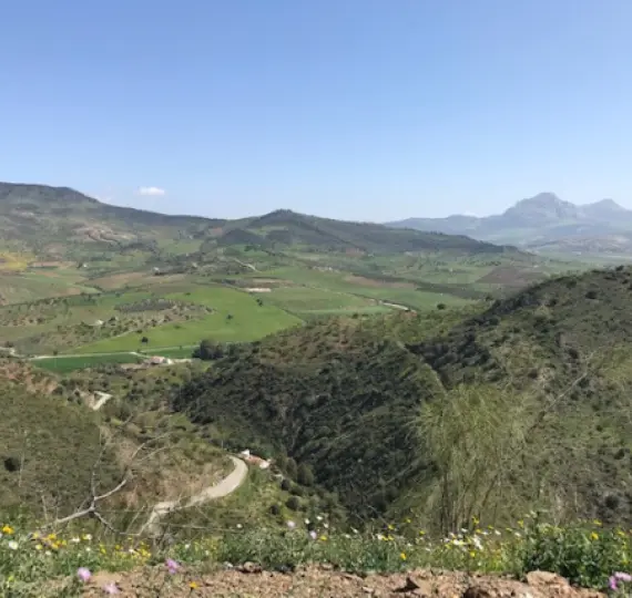 Venta de parcela residencial en Casabermeja