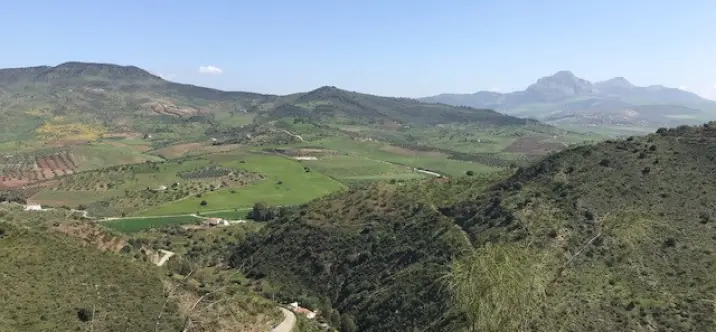 Venta de parcela residencial en Casabermeja 1