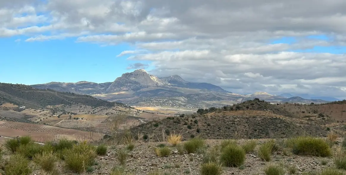 Sale of residential plot in Casabermeja 4