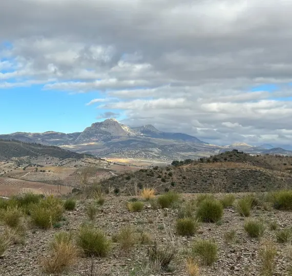 Venta de parcela residencial en Casabermeja