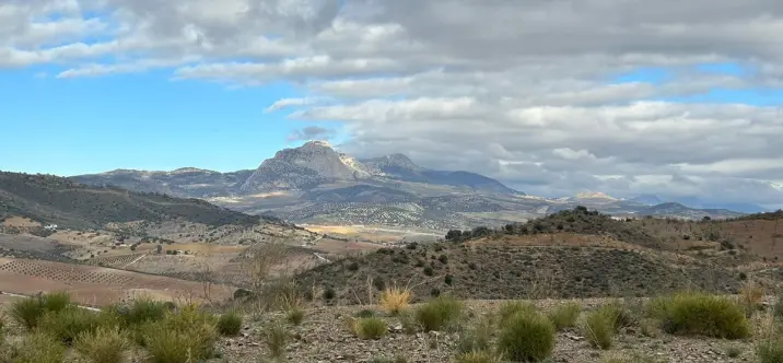 Venta de parcela residencial en Casabermeja 3