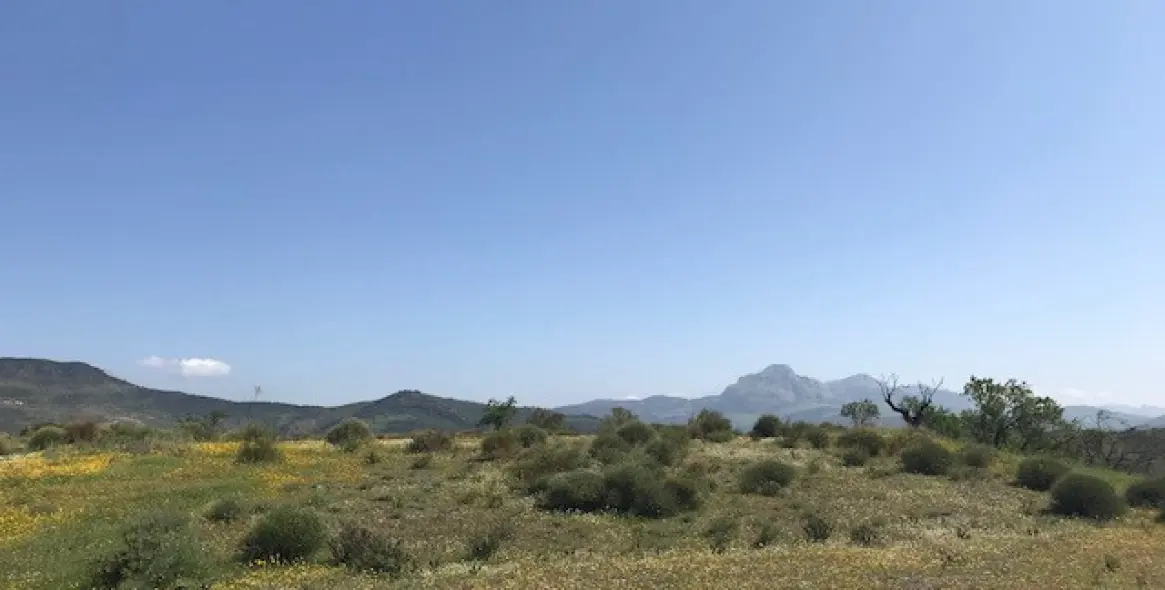 Sale of residential plot in Casabermeja 16