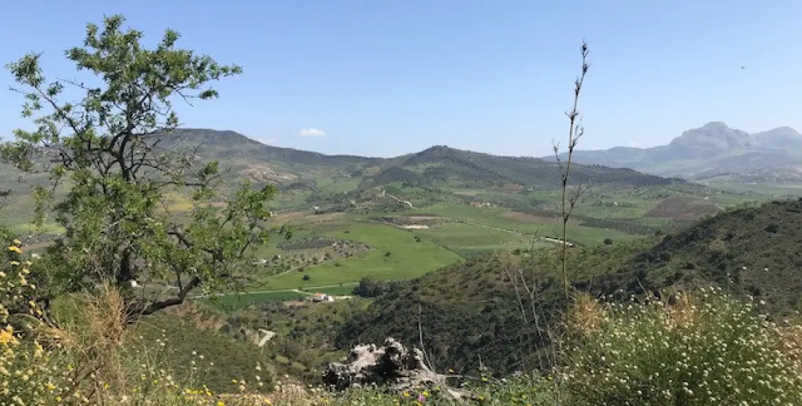 Sale of residential plot in Casabermeja 20