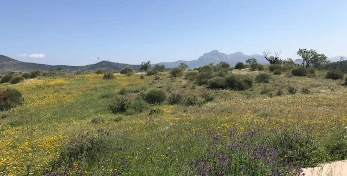 Sale of residential plot in Casabermeja 21