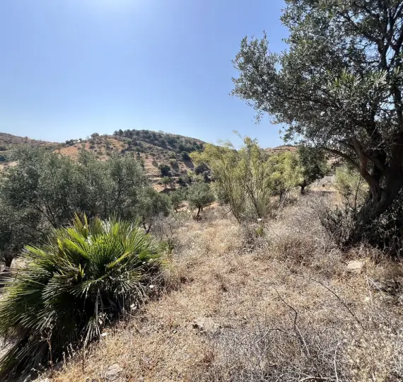 Продажа  жилого участка в La Cala