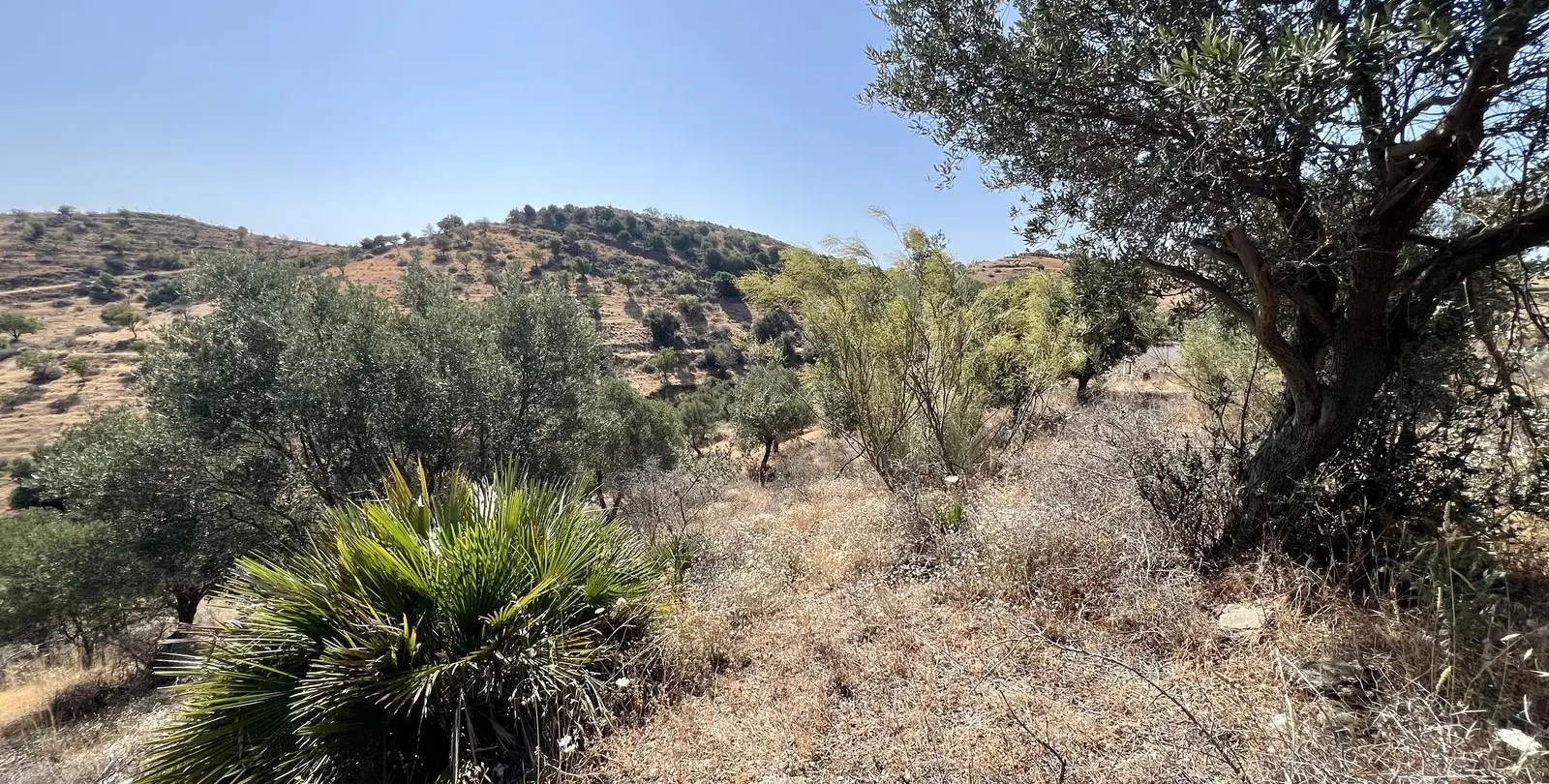Venta de parcela residencial en La Cala 3