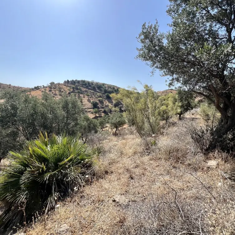 Venta de parcela residencial en La Cala