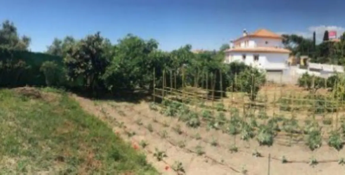 Продажа  жилого участка в Marbella 1