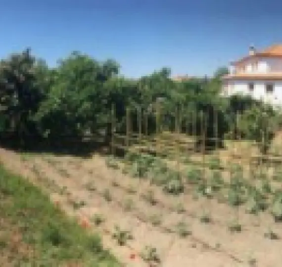 Продажа  жилого участка в Marbella