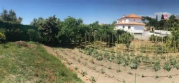 Продажа  жилого участка в Marbella 0