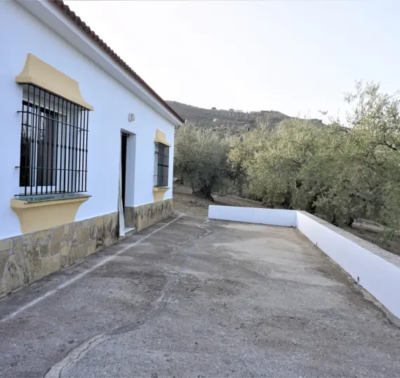 Sale of finca - cortijo in Alcaucín