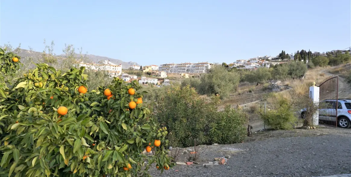 Sale of finca - cortijo in Alcaucín 6