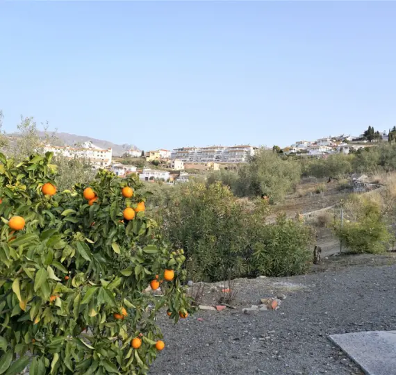 Sale of finca - cortijo in Alcaucín