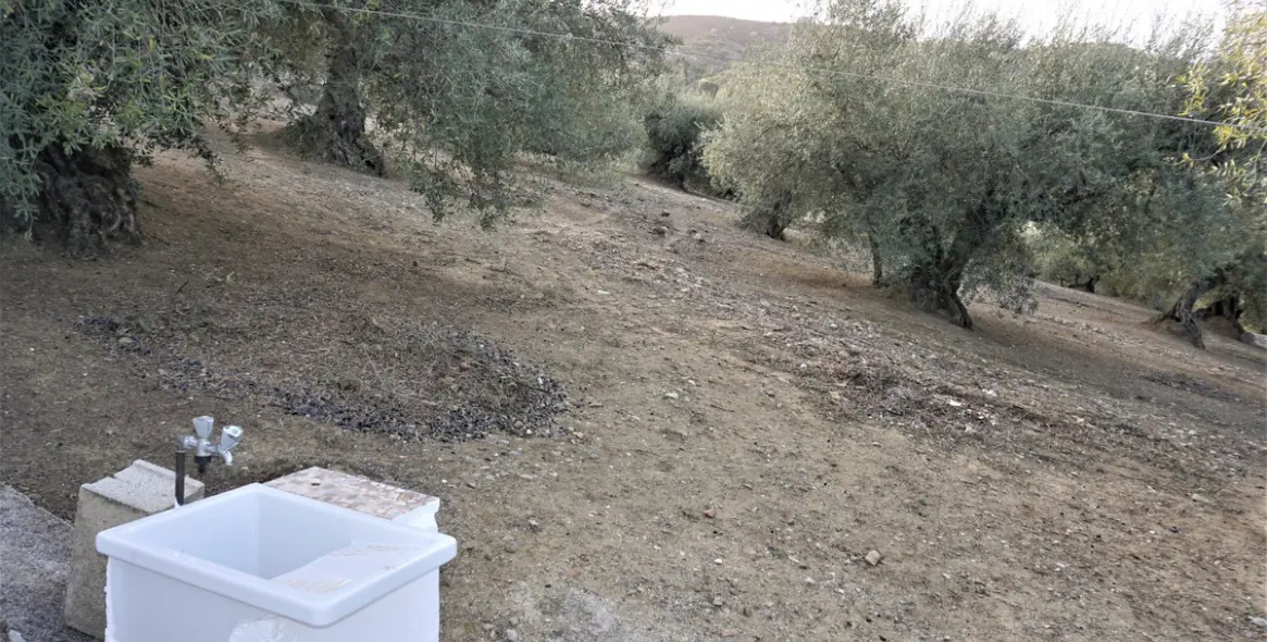 Sale of finca - cortijo in Alcaucín 9