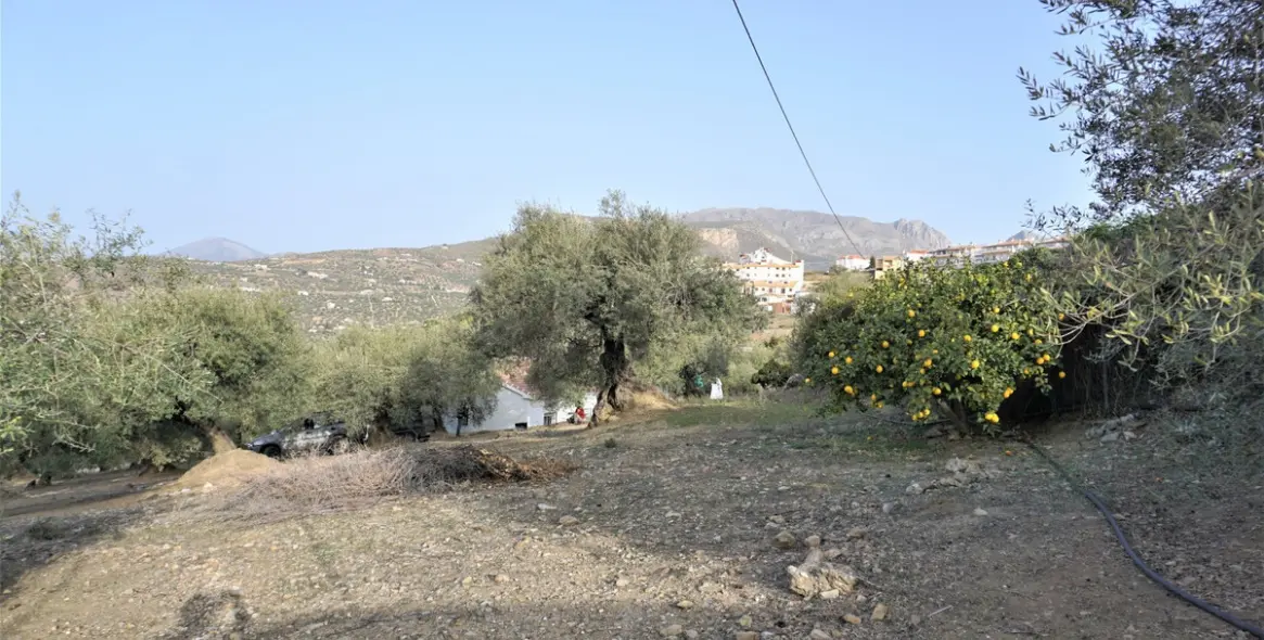 Sale of finca - cortijo in Alcaucín 10
