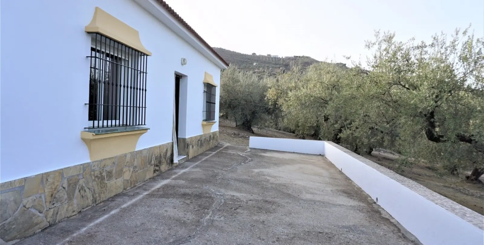 Продажа финки в Alcaucín 3