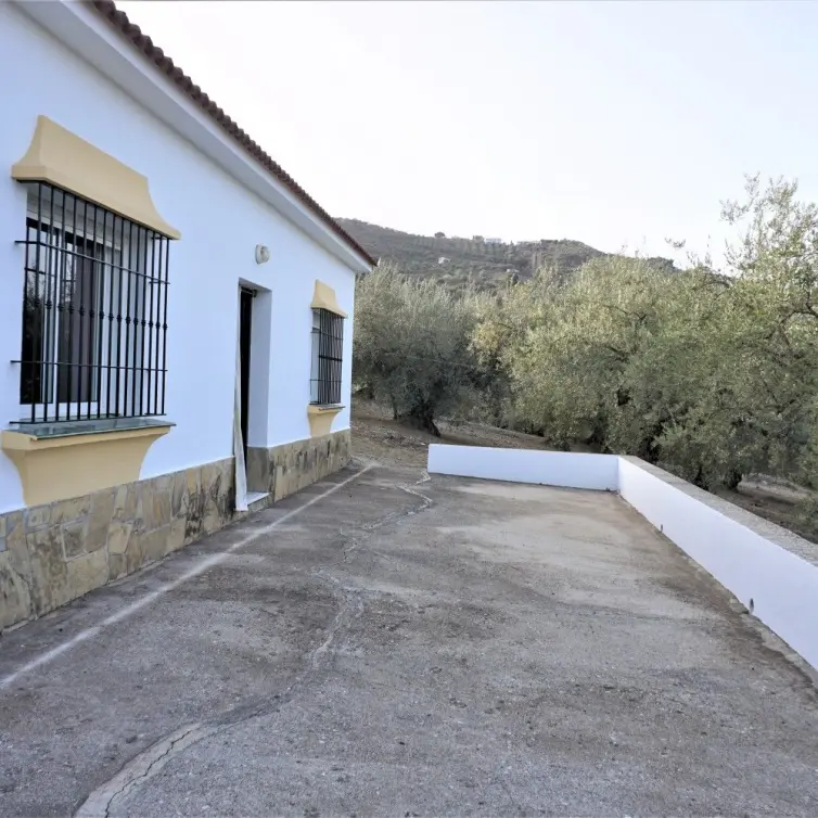 Venta de finca - cortijo en Alcaucín