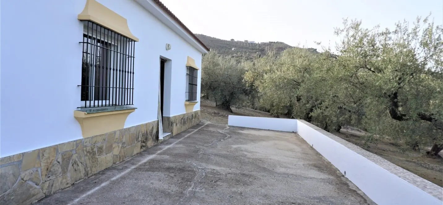 Venta de finca - cortijo en Alcaucín 2