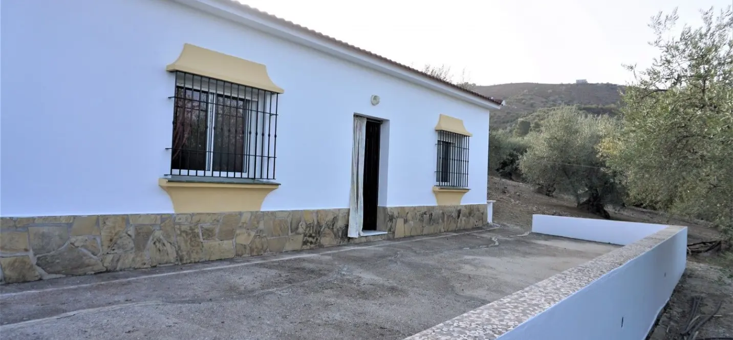 Venta de finca - cortijo en Alcaucín 3