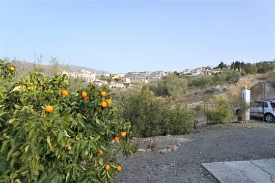 Image 6 thumb