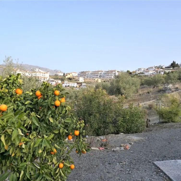 Venta de finca - cortijo en Alcaucín